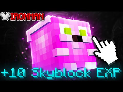 I Maxed Hoppity Again... (hypixel Skyblock Ironman) Ep.1017