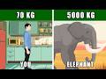 Elephant Analysis - Compared To Human