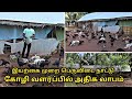 இயற்கை முறையில் பெருவிடை நாட்டு கோழி வளர்ப்பு || aseel chicken farm in karur || peruvidai kozhai