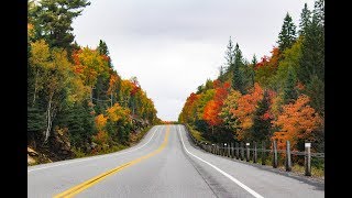 Algonquin Park - Fall Colors 2018, Driving through Highway 60