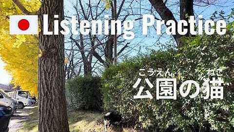 Community Cats in the Park | Japanese Listening Practice