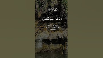 قران كريم #اكسبلور سورة الفجر تلاوة تريح القلب والنفس #اسمعنا #راحة_نفسية السويد