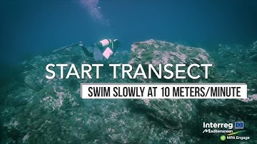 Climatefish_simulation of underwater visual census