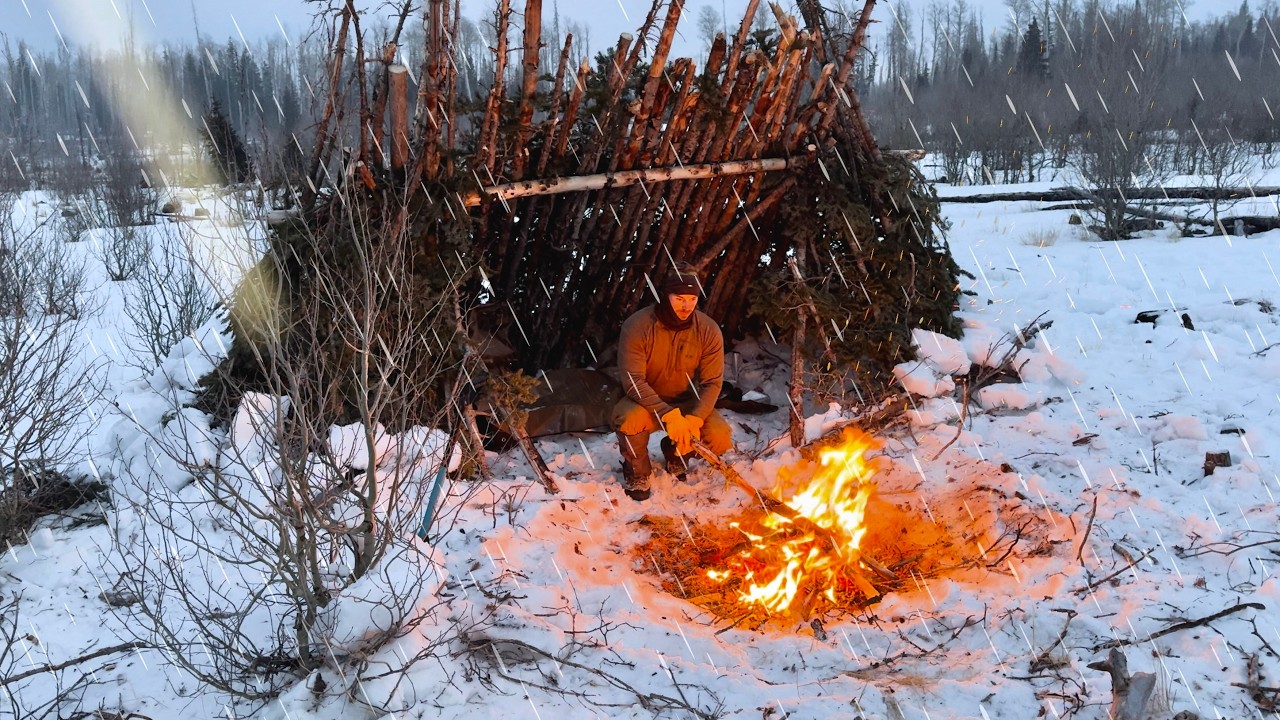 Extreme Winter Survival Shelter - Solo Bushcraft Camping in Snow Storm ...