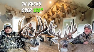 FOUR 200" BUCKS!! Adam Hays' Midwest GIANTS #WhitetailCribs