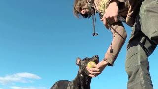 Apbt Cora Fail And Win10 Meses