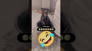 tary ❤❤️❤💯 #movition #shortvideo #love