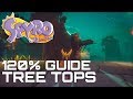 Ref:0XD3P7lfOlI Spyro the dragon (reignited) 120% guide tree tops (all gems, eggs, dragons...)