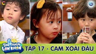 Thử Thách Lớn Khôn | Tập 17: Cam trổ tài ca hát, Xoài Đậu chỉ vì đồ chơi mà 