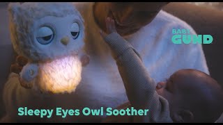 Sleepy Eyes Owl Bedtime Soother from Baby Gund