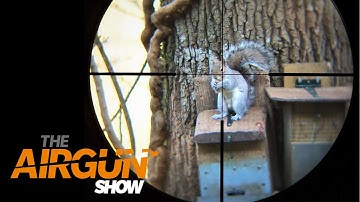 The Airgun Show – how to use a feeding station for squirrel control & top tips for spring hunting…