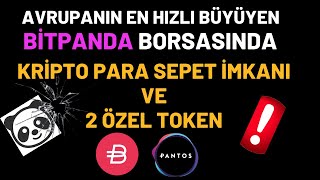Avrupanin En Hizli Büyüyen Bi̇tpanda Borsasinda Kri̇pto Para Sepet İmkani Ve 2 Özel Token..