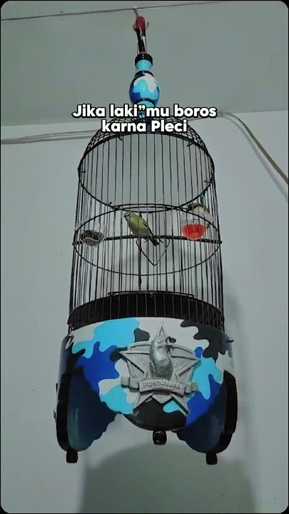 Pleci Nishida 125jt
