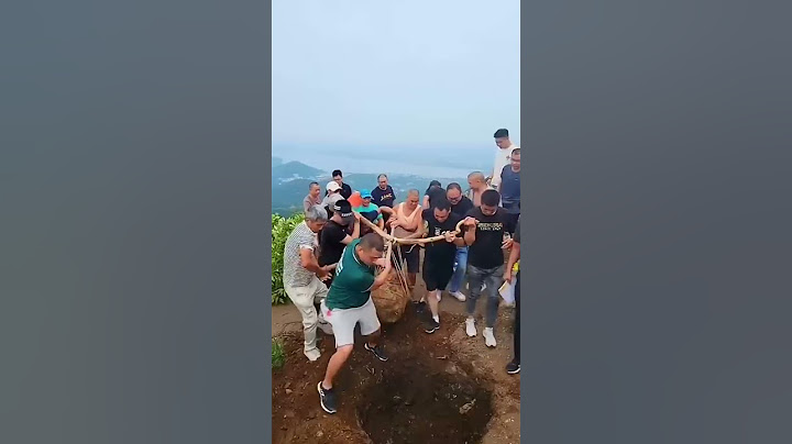 Inilah Kekompakan Warga Cina Ketika Bergotong Royong Menanam Pohon-Pohon Di Pegunungan #shrots
