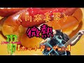 ホットドッグmix「微熱」【music video】