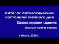 Каталог патологических состояний Глазного дна. Учебный ролик