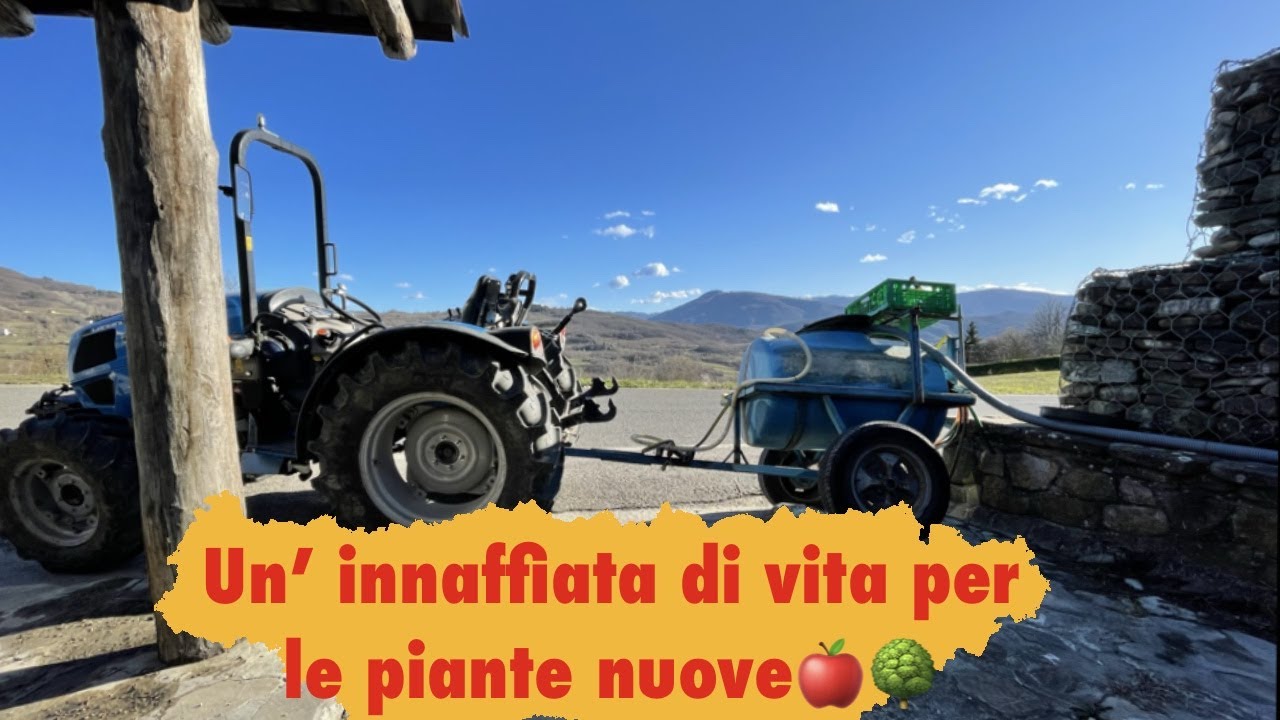 Devo bagnare le piante! - Landini 2-55 con botte da 4 ettolitri