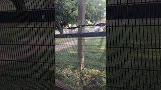Meikles Park Mutare Zimbabwe 2026