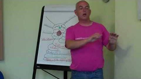 Whole Being : NLP Practice Group August 2010 Metaphor 2