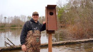 Putting Up Wood Duck Boxes At The Millet Pond