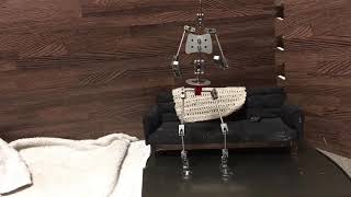 Sit and Stand Animation
