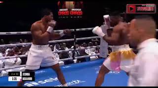 Anthony Joshua vs Francis Ngannou KO - Most Brutal KO ever HD