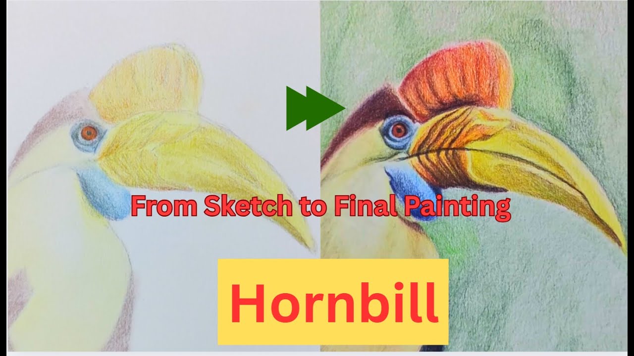 Realistic Hornbill in Colored Pencils | Step-by-Step Drawing Process ...