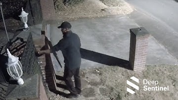 STOPPED by Deep Sentinel #87 - Who Knew Saying “HI” Could Stop Crime?