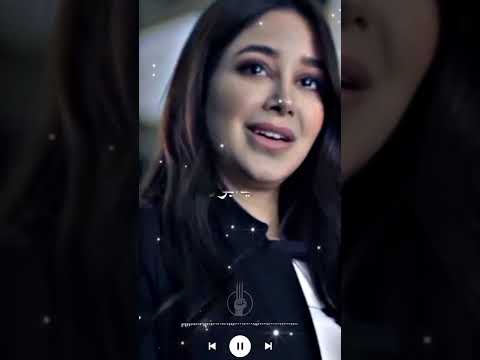 حالات واتس تامر حسني عمرو دياب في يوم هنعود تصميم لاندوو