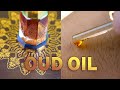 Perfume Commercial Oud Oil SURRATI Perfumes السرتي للعطور Lumix GH5s Perfume Commercial Oud Oil SURRATI Perfumes السرتي للعطور Lumix GH5s