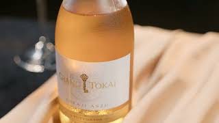 Our Magical Wine Region Tokaj
