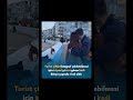 Turist çiftin fotoğraf çekilebilmesi için tripod görevi gören kedi dünya çapında viral oldu