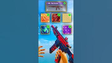 M4 Best Camo Combos 🔥🙌