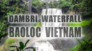 Địa Điểm Du Lịch DAMBRI BẢO LỘC VIỆT NAM [ VIET NAM VIDEO TRAVEL ]