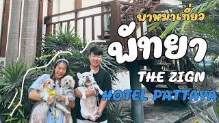 EP.22 The Zign hotel pattaya พาหมาเที่ยว หมาพักได้ หมาพาเที่ยวพัทยาาา