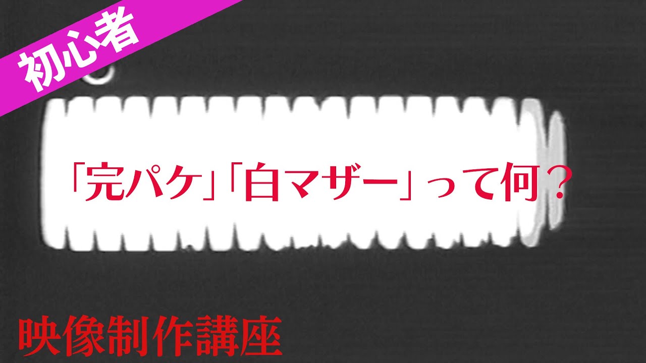 活動歴および当時の関連ビジュアル記録