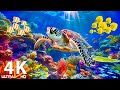Ocean 4K - Beautiful Coral Reef Fish in Aquarium, Sea Animals for Relaxation (4K Video Ultra HD) #24