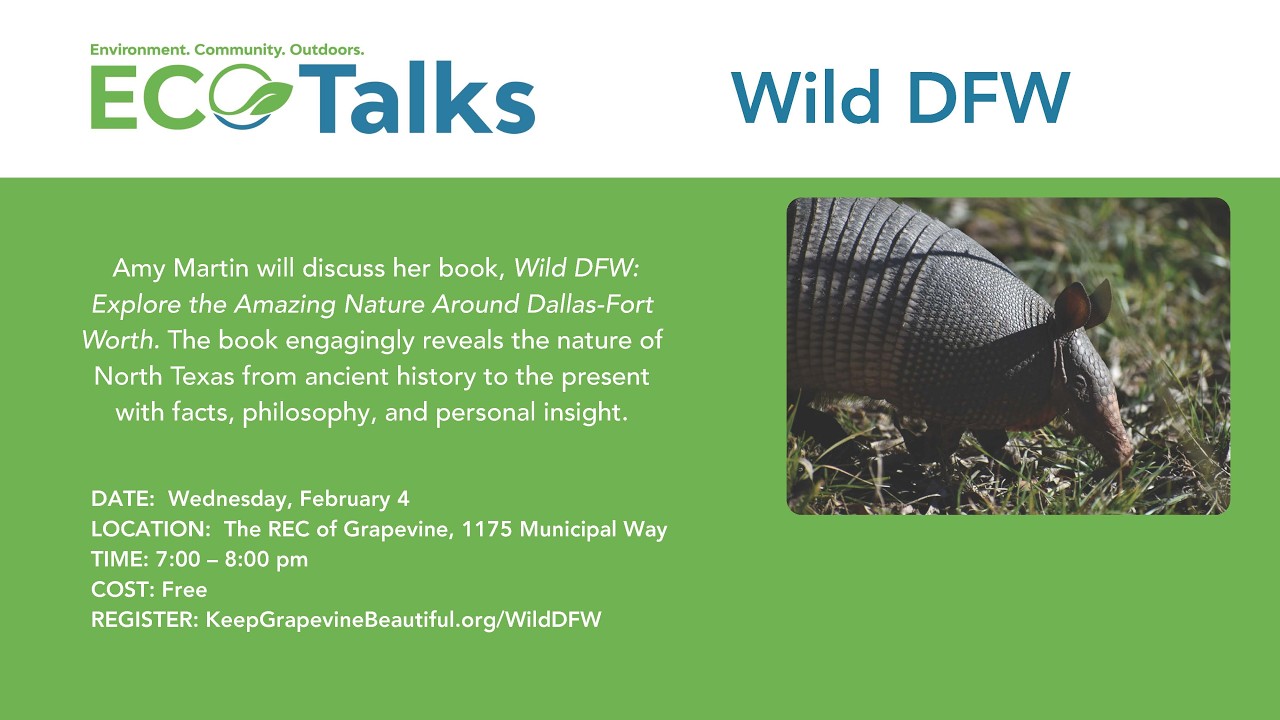 Wild DFW - YouTube