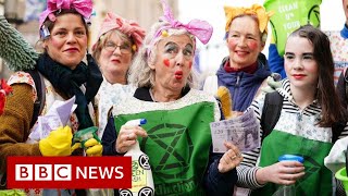 What is greenwashing? - BBC News