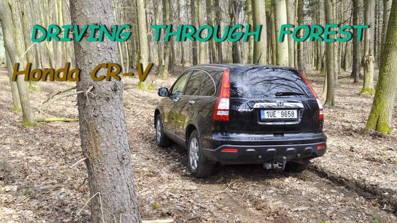 Honda CRV 2.2 i-CTDi 3gen - driving through FOREST