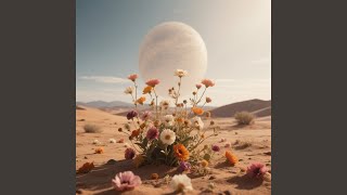 Flores no deserto (Remix)