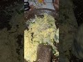 Edisi mempepes ikan teri yang begitu enak