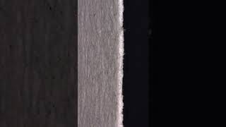 How sharp is paper 🤔 #entertainment #closeup #science