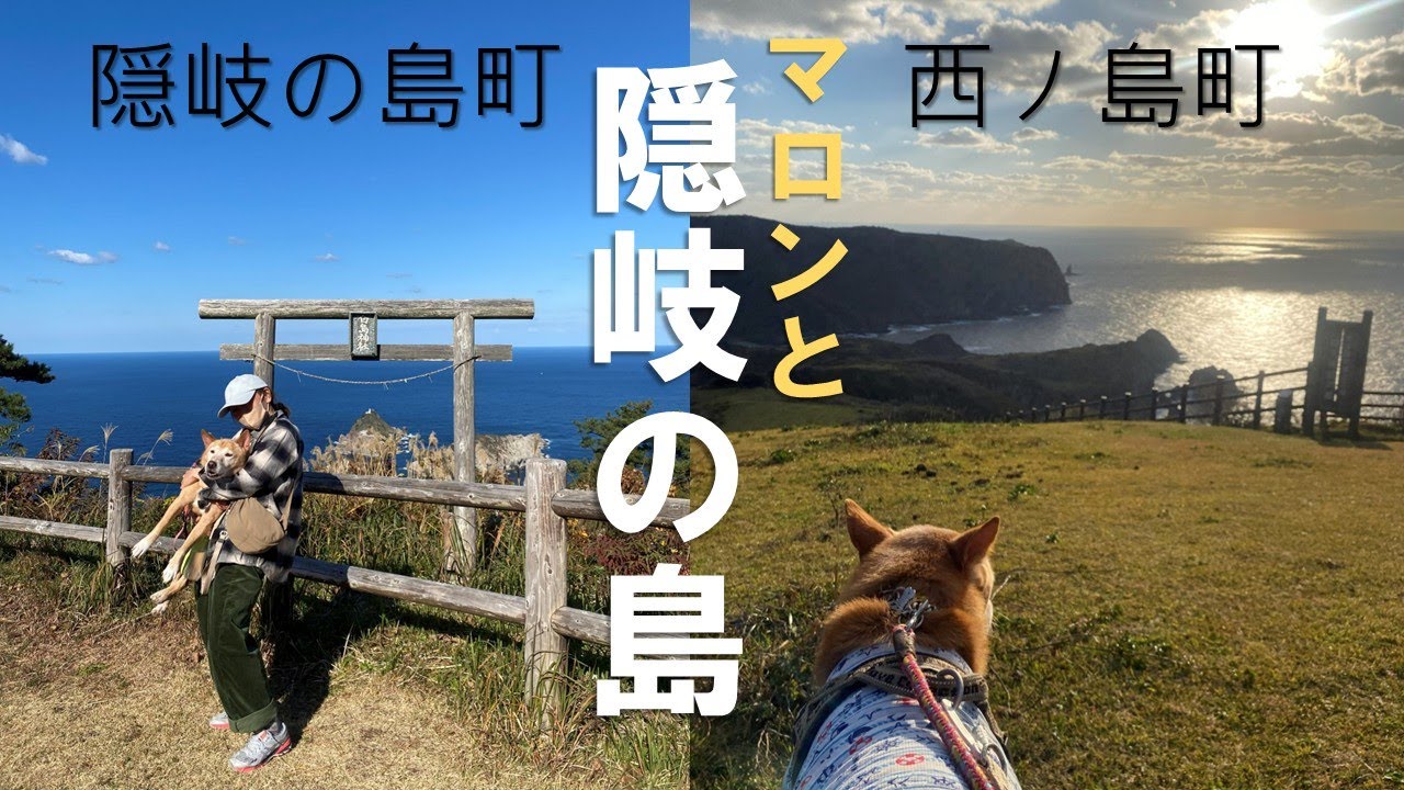 【隠岐の島旅行】マロンと一緒に景色が綺麗な場所へ2泊3日の旅