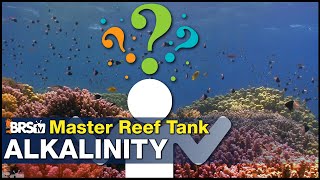 New concept in reef tank Alkalinity: How it works & how to gain 70% or more coral growth!