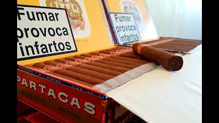 Partagas Short