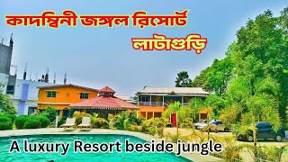 লাটাগুড়ি | Kadambini Jungle Resort |  A luxury stay beside jungle | Dooars tour | Offbeat Hunters
