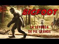 BIGFOOT: Pie Grande/Sasquatch|Criptozoologia