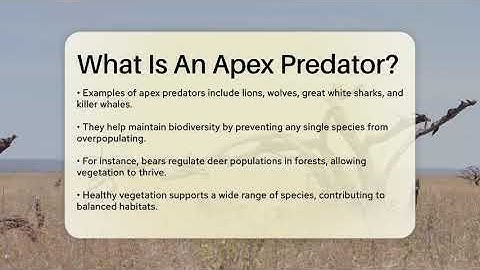 What Is An Apex Predator? - Ecosystem Essentials
