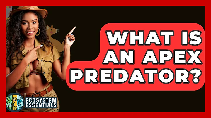 What Is An Apex Predator? - Ecosystem Essentials